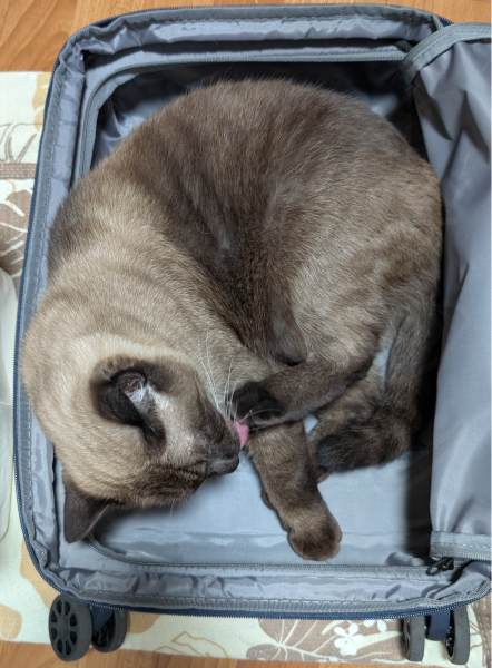 スマート本棚サイズ比較3